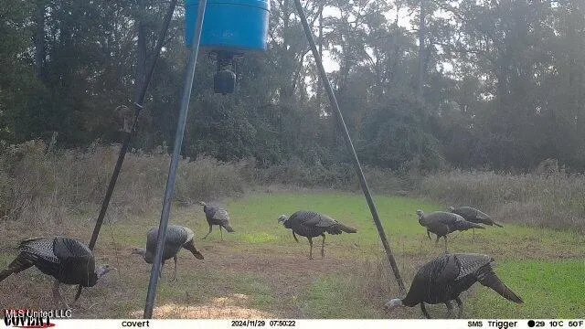 $279,000 | 4087 Dudley Rimes Road, Magnolia, MS 39652