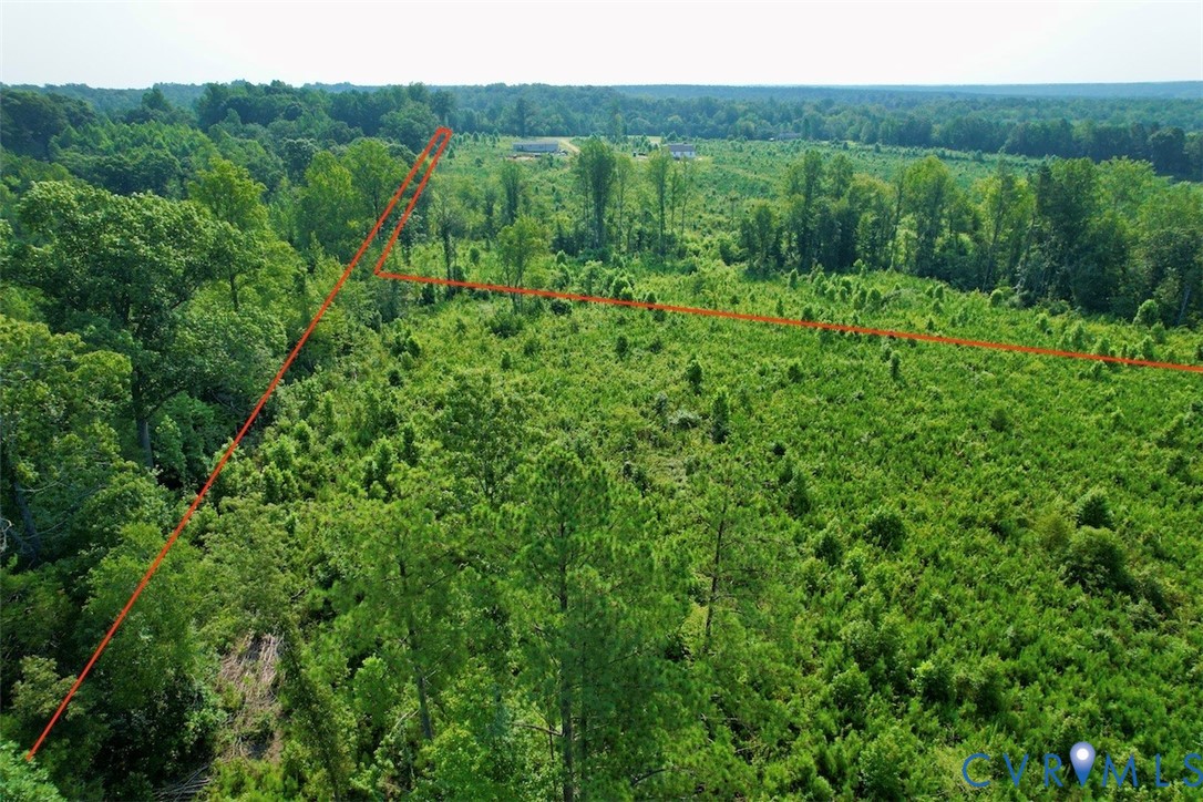 5211 Indian Oak Road Crewe, VA 23930 - Photo 1 of 23 Expansive parcel featuring a mix of mature trees a