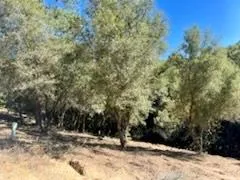 $69,000 | 6700 Patsy Cline Lane, Somerset, CA 95684