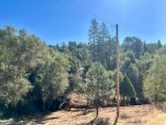 6700 Patsy Cline Lane Somerset, CA 95684 - Photo 2 of 7