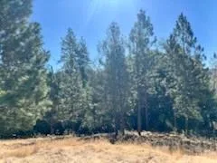 $69,000 | 6700 Patsy Cline Lane, Somerset, CA 95684