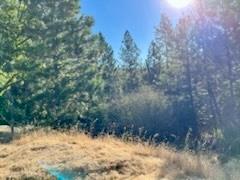 6700 Patsy Cline Lane Somerset, CA 95684 - Photo 6 of 7