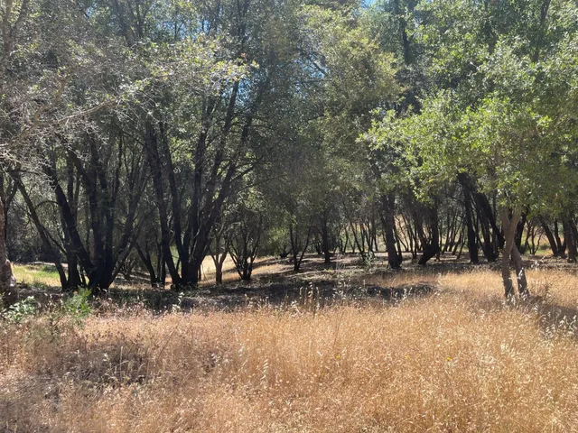 $69,000 | 6700 Patsy Cline Lane, Somerset, CA 95684