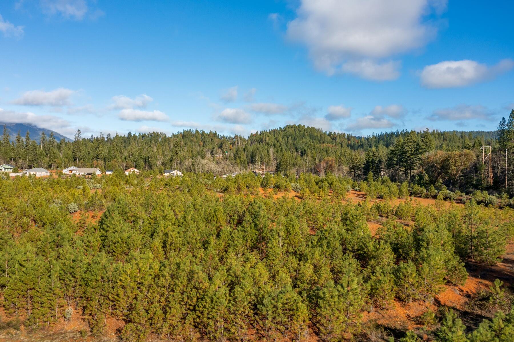 499 Laurel Road Cave Junction, OR 97523 - Photo 5 of 13 batch_499 Laurel Rd-008