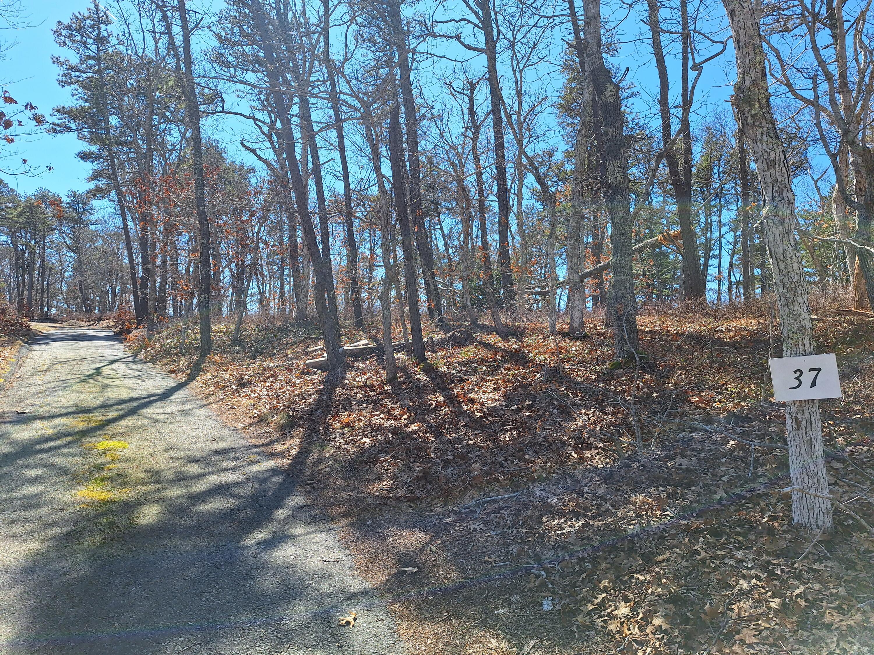37 Oak Valley Road Wellfleet, MA 02667 - Photo 8 of 12 20260408_135227