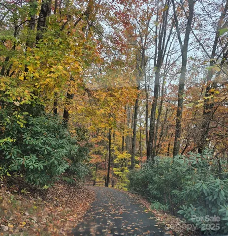 $59,500 | 0 Alpine Ridge, Unit D11, Canton, NC 28716