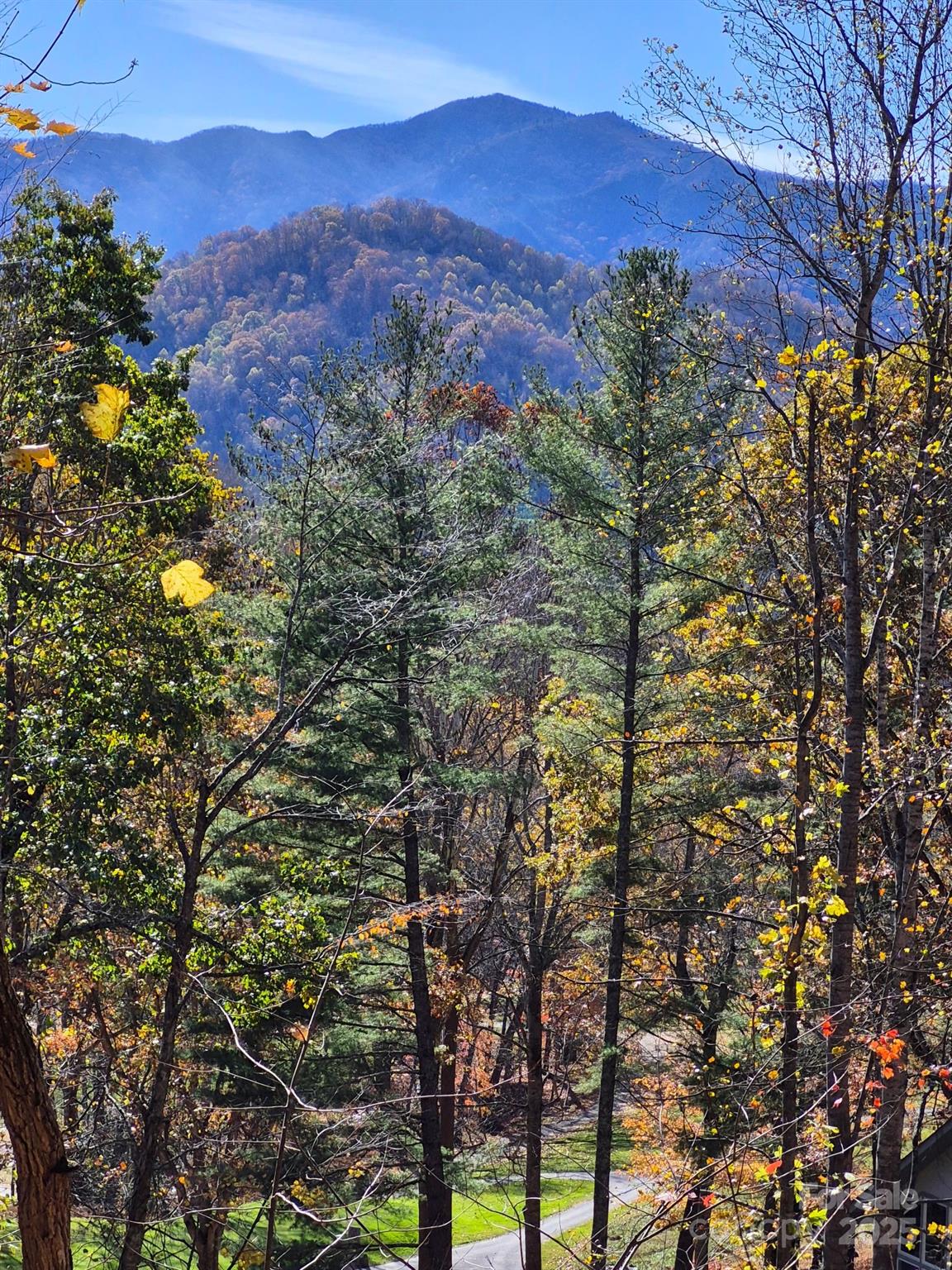 0 Alpine Ridge, Unit D11 Canton, NC 28716 - Photo 2 of 11 a view of mountain view with lots of trees