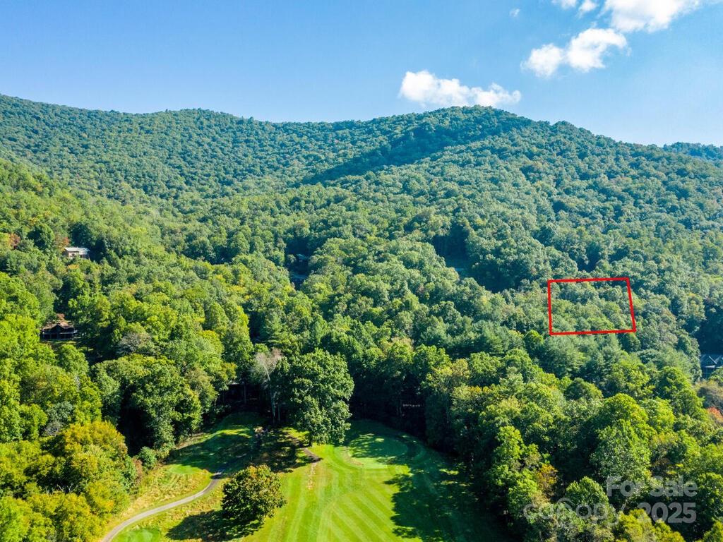 0 Alpine Ridge, Unit D11 Canton, NC 28716 - Photo 4 of 11 a view of a garden