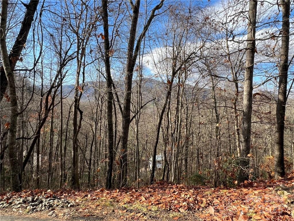 0 Alpine Ridge, Unit D11 Canton, NC 28716 - Photo 5 of 11 a backyard of a house with lots of green space