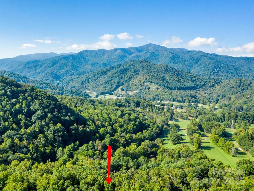 0 Alpine Ridge, Unit D11 Canton, NC 28716 - Photo 8 of 11 a view of a lush green hillside and a mountain