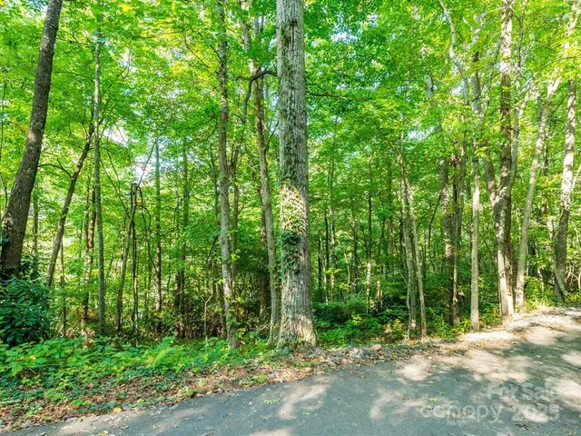 a view of outdoor space and trees
