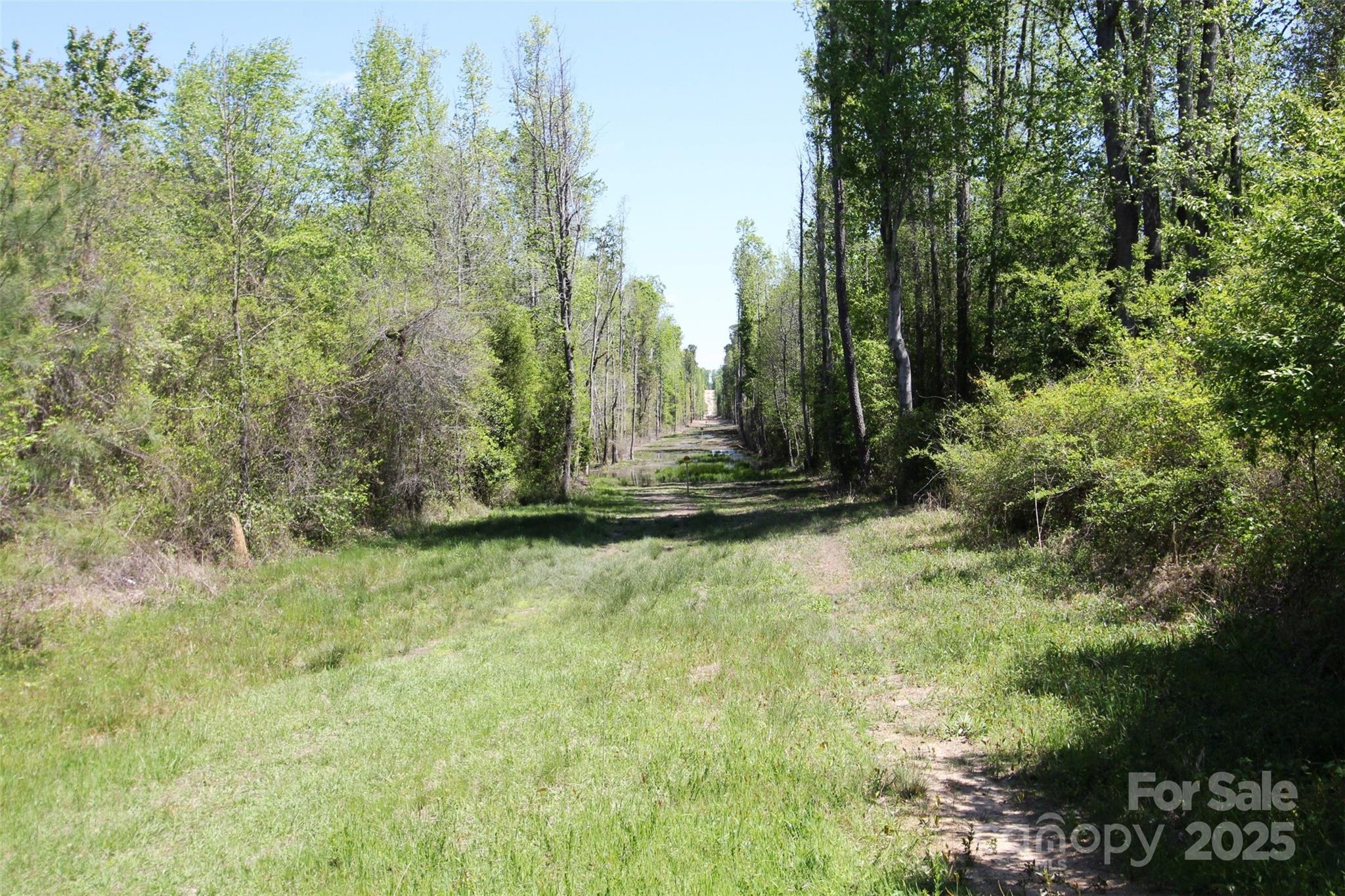 Tbd Queens Cove Way Carthage, NC 28327 - Photo 13 of 33 a view of a backyard with large trees