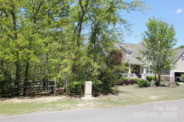 a view of a forest with trees in the background