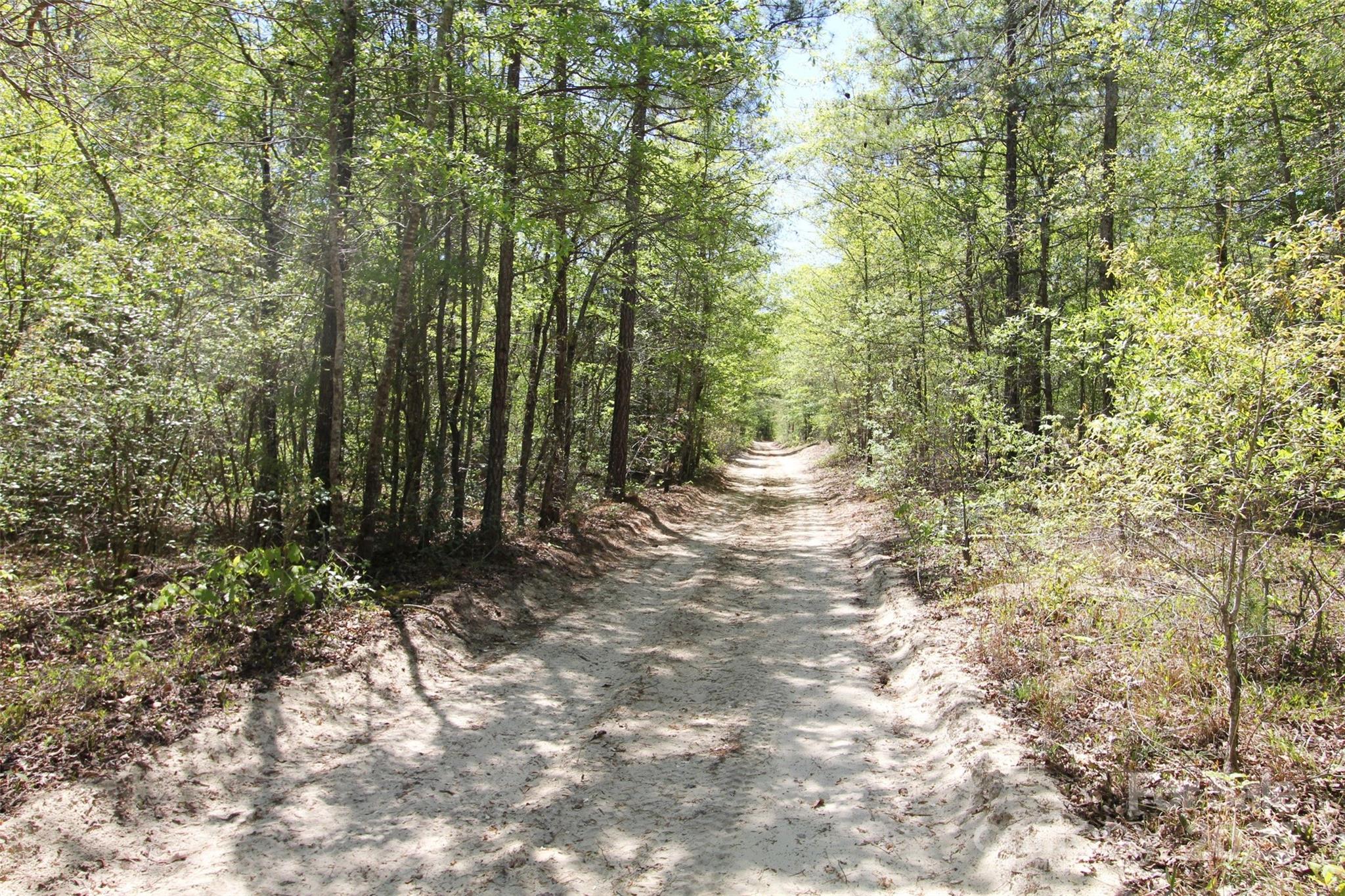 Tbd Queens Cove Way Carthage, NC 28327 - Photo 15 of 33 a view of a forest with trees in the background
