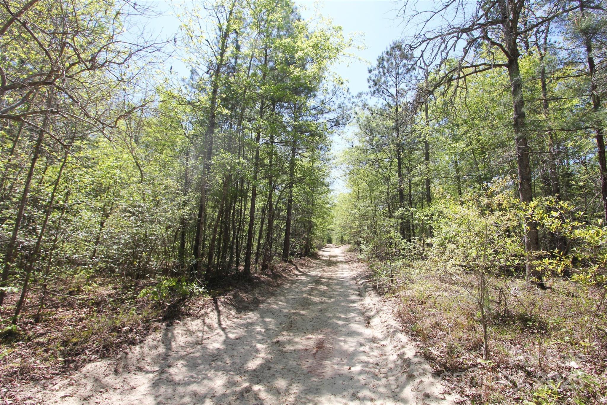Tbd Queens Cove Way Carthage, NC 28327 - Photo 16 of 33 a view of a forest with trees