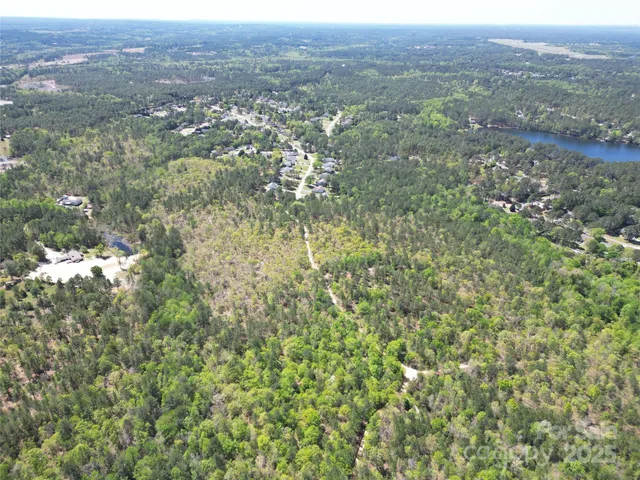 an aerial view of forest