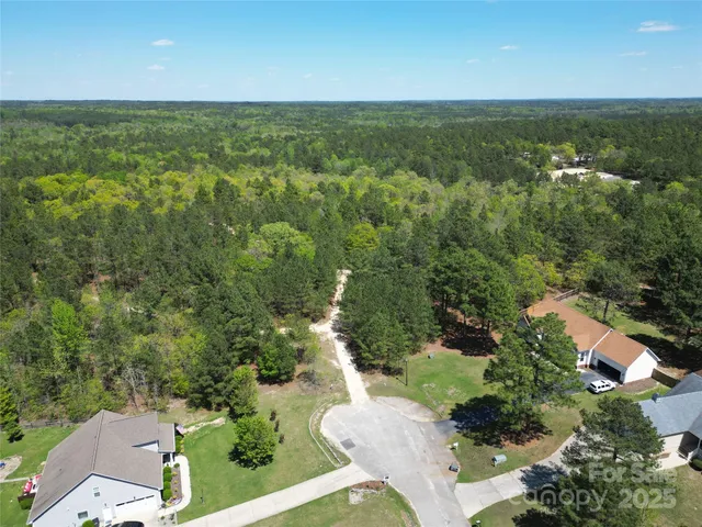 an aerial view of forest