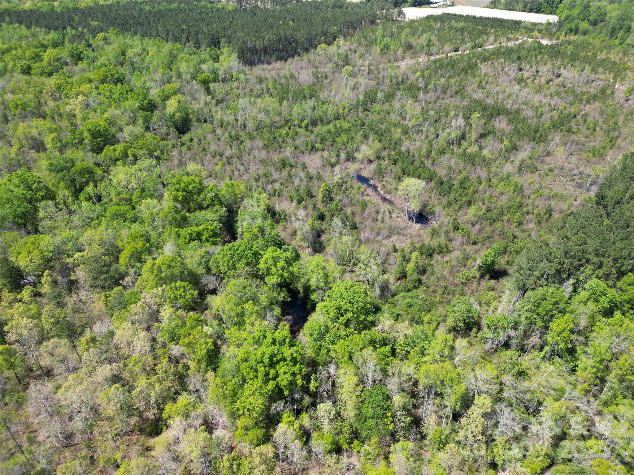 Tbd Queens Cove Way Carthage, NC 28327 - Photo 31 of 33 a view of a big yard with plants and large trees