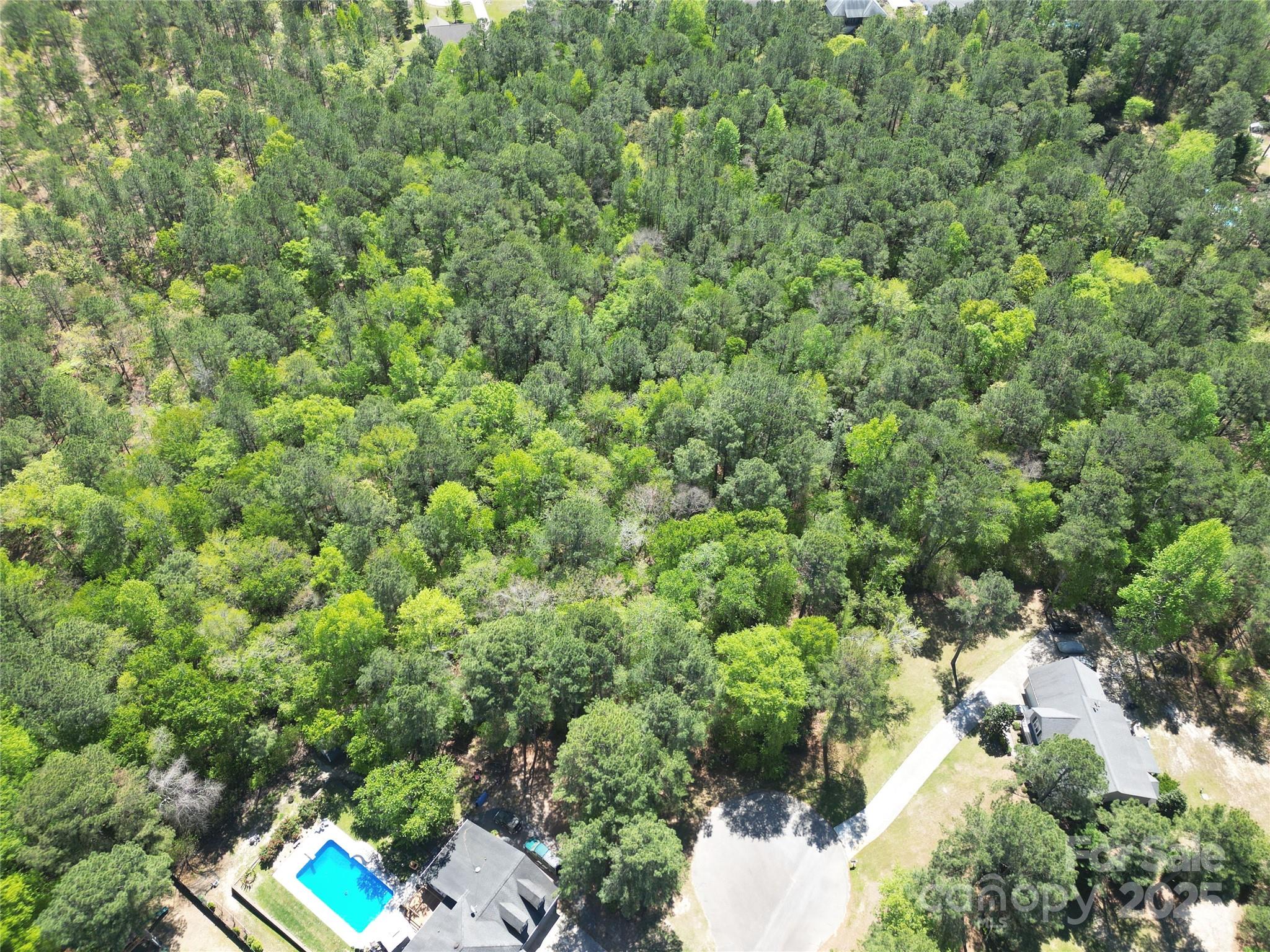 Tbd Queens Cove Way Carthage, NC 28327 - Photo 7 of 33 view of a forest with a houses