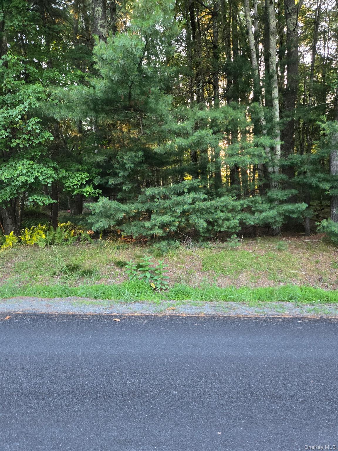 Horseshoe Lake Road Narrowsburg, NY 12764 - Photo 3 of 5