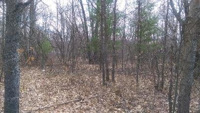 372 Oak Lake Road Mio, MI 48647 - Photo 4 of 5 Gallery Image 4
