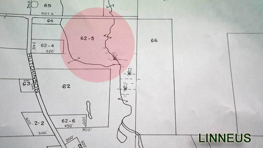Lot 62-5 Folsom Road Houlton, ME 04730 - Photo 2 of 28 mao-maine-land-folsom-rd