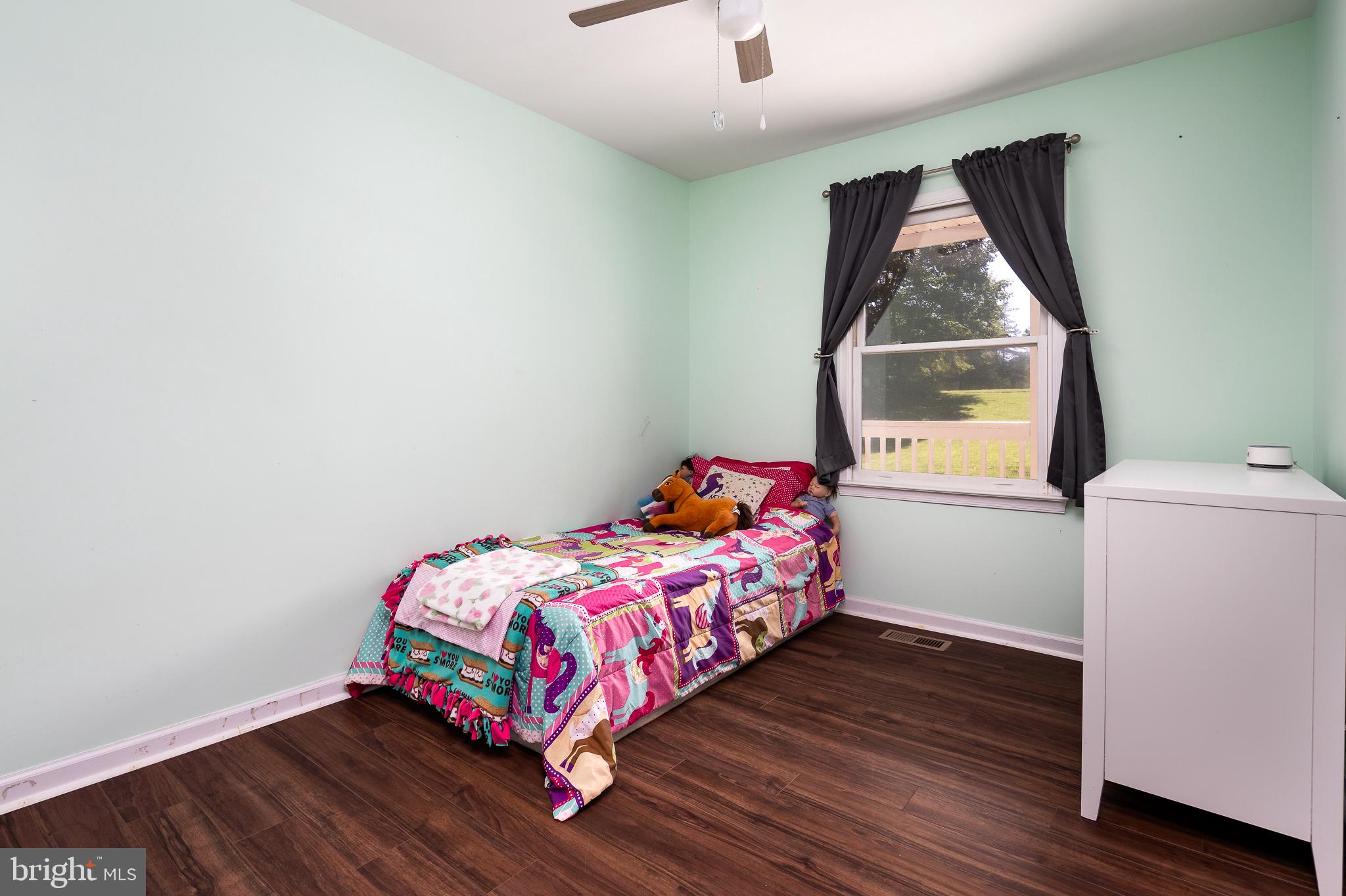 12521 Hazel River Road Rixeyville, VA 22737 - Photo 17 of 33 Bedroom 2