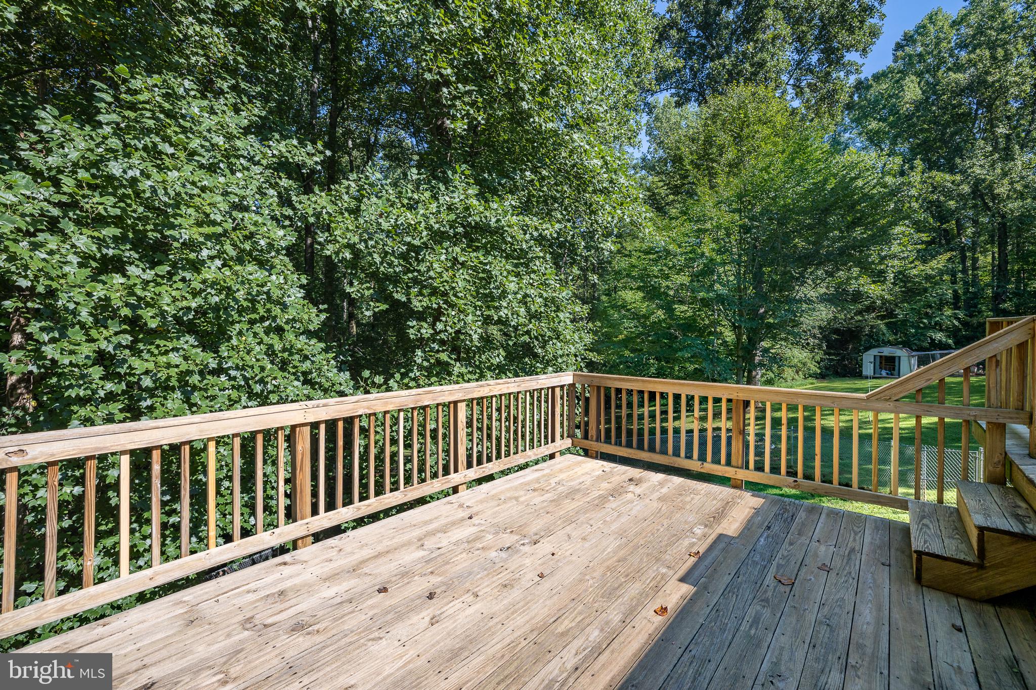 12521 Hazel River Road Rixeyville, VA 22737 - Photo 26 of 33 Deck