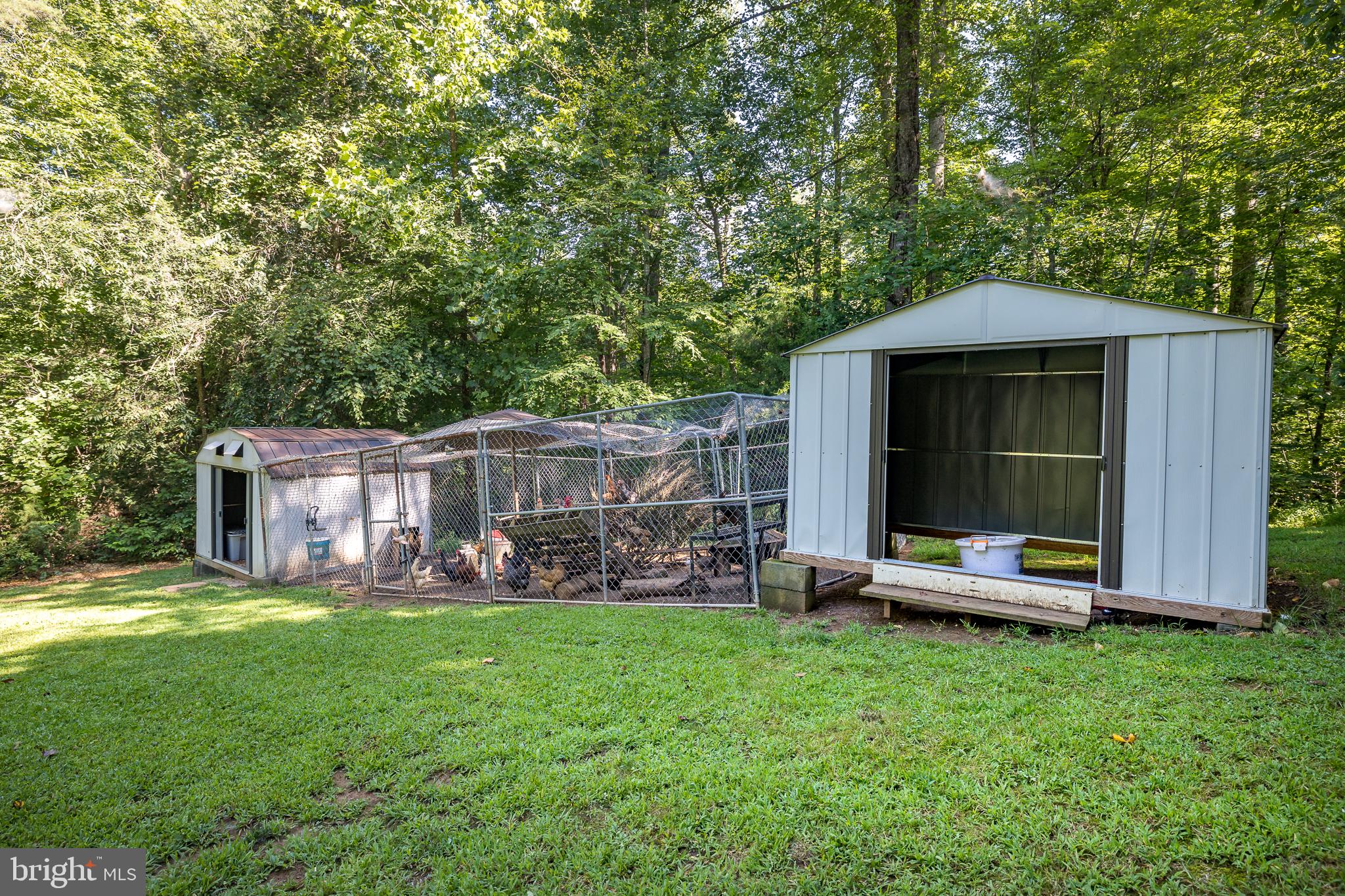 12521 Hazel River Road Rixeyville, VA 22737 - Photo 32 of 33 Fresh Eggs!