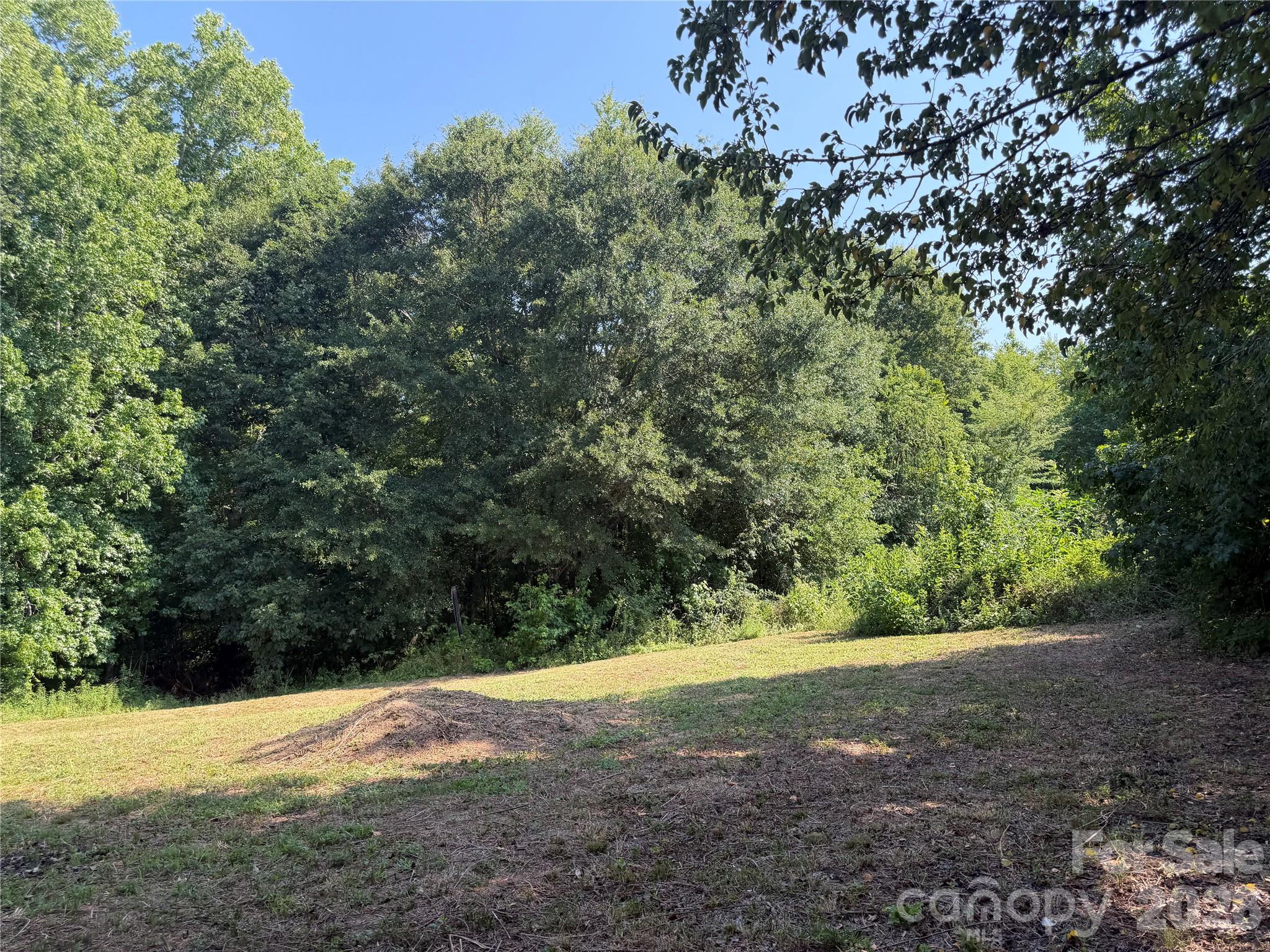 1003 Lavender Road Grover, NC 28073 - Photo 2 of 32