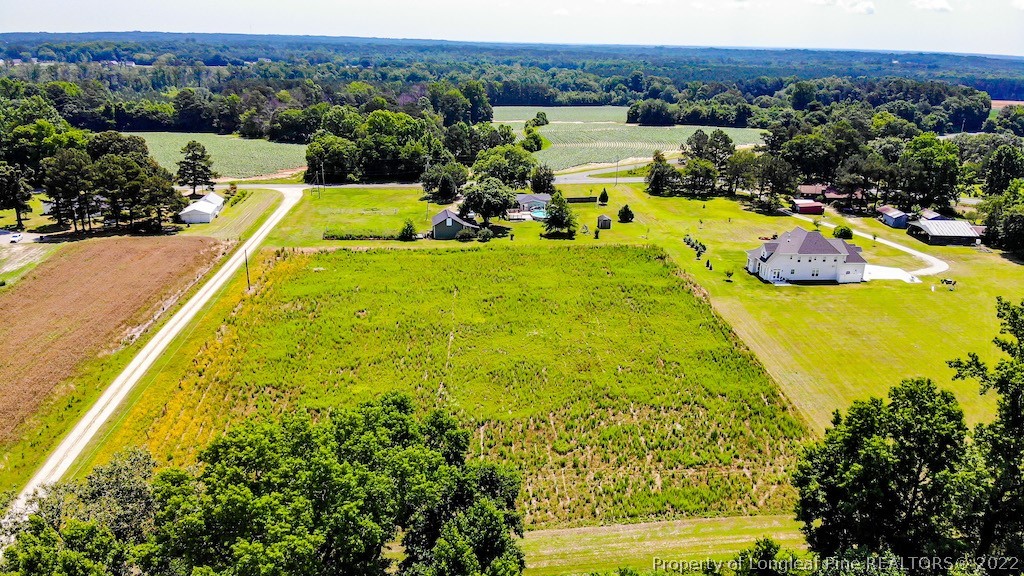 4247 Spring Hill Church Road Lillington, NC 27546 - Photo 5 of 50 Gallery Image 5