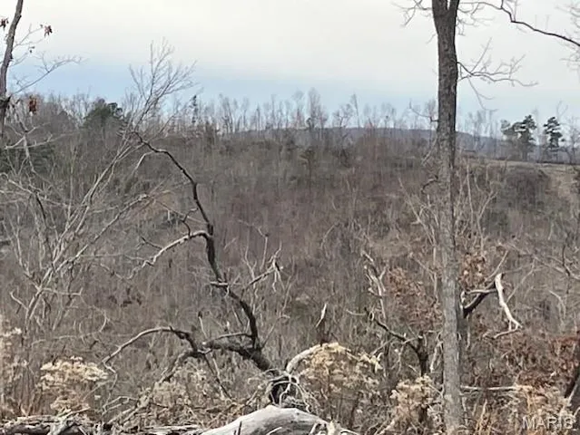 $68,195 | 182 Madison Cr, Fredericktown, MO 63645