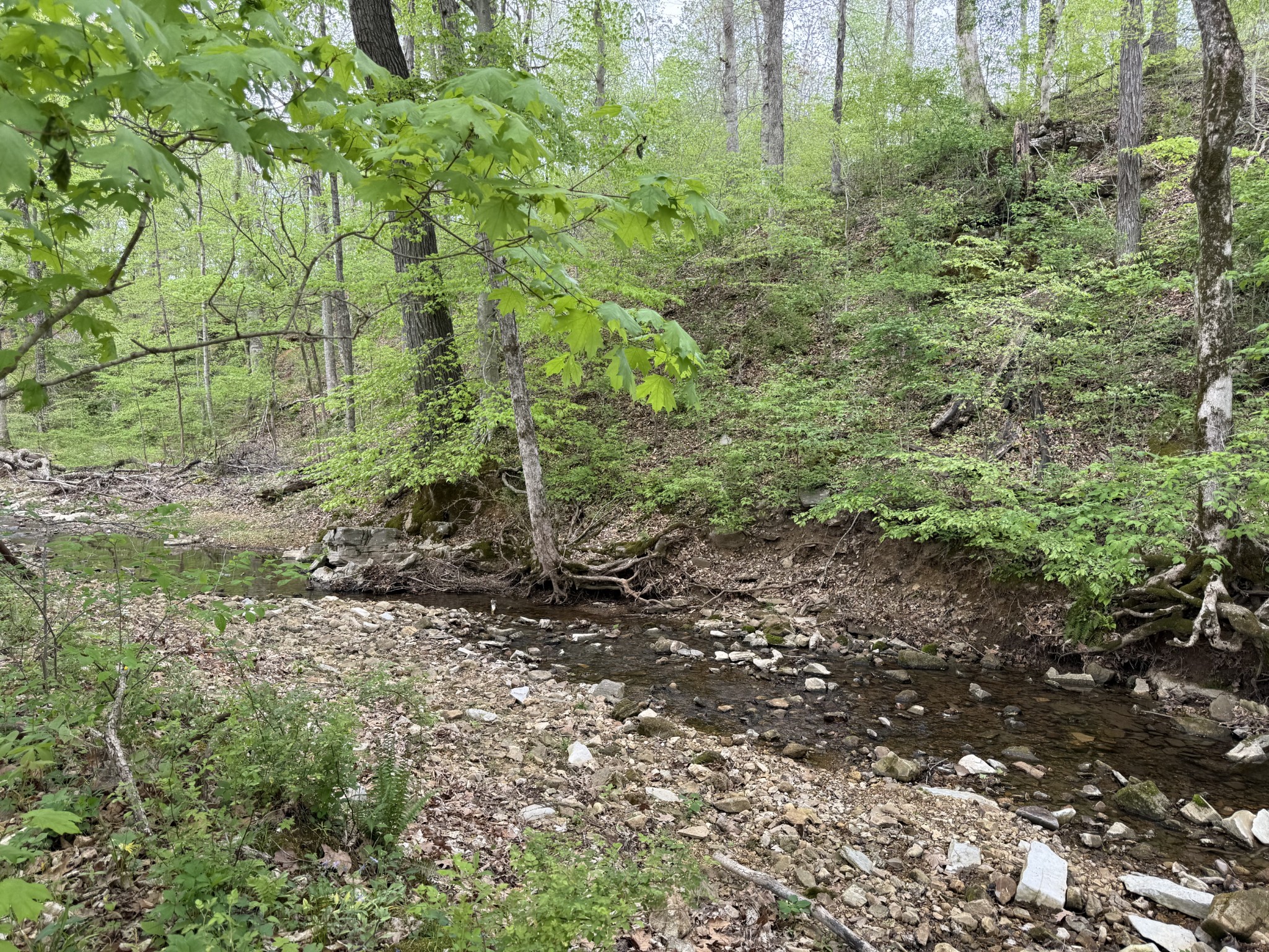 542 Sycamore Road Dickson, TN 37055 - Photo 38 of 39