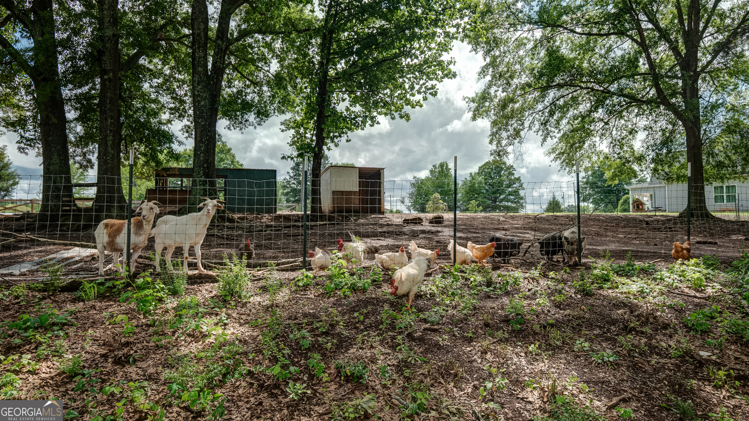 399 Dunn Road Molena, GA 30258 - Photo 65 of 72
