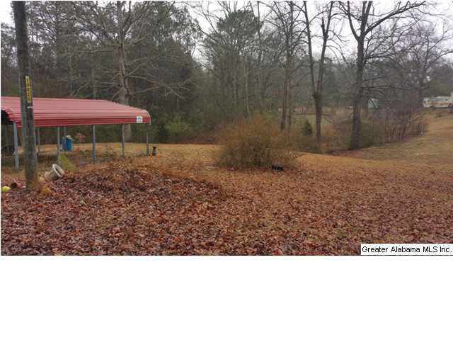 1607 Spring Road Ohatchee, AL 36271 - Photo 22 of 30