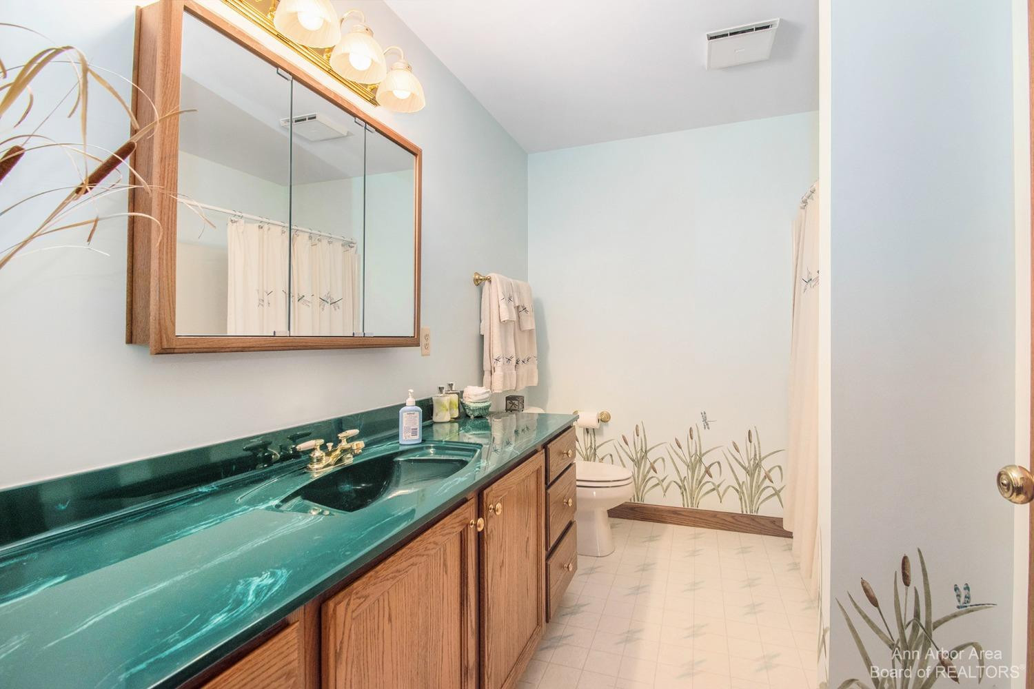 20799 Hogan Road Manchester, MI 48158 - Photo 18 of 41 Photo 18
