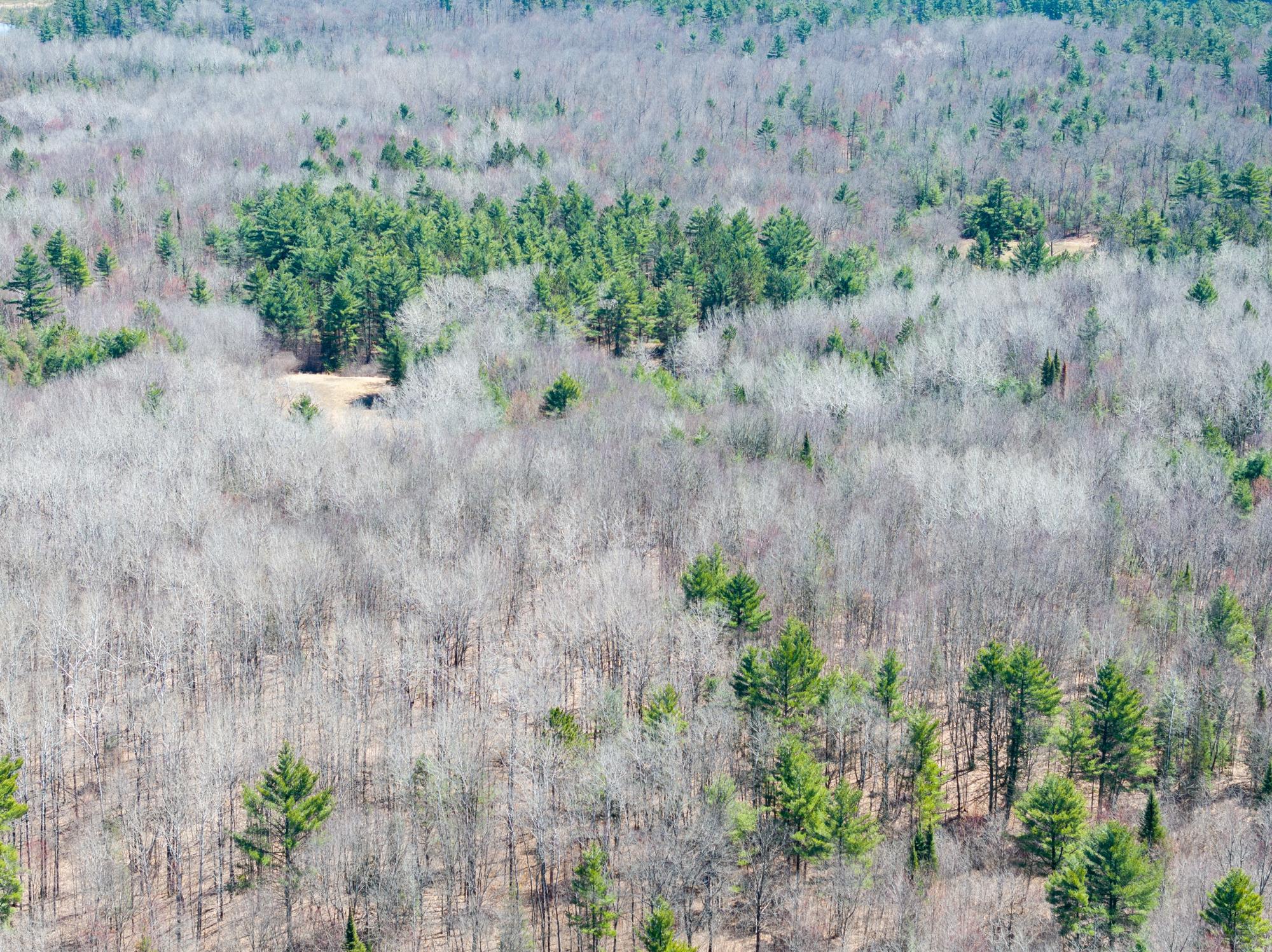 91-ac Sutton Road Minocqua, WI 54548 - Photo 8 of 9 Gallery Image 8