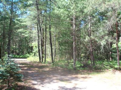 7126 Koon Road Manistee, MI 49660 - Photo 1 of 7 Primary Photo