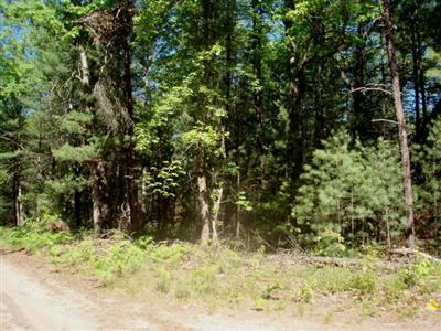 7126 Koon Road Manistee, MI 49660 - Photo 2 of 7 Additional Photo