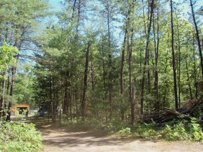 7126 Koon Road Manistee, MI 49660 - Photo 3 of 7 Additional Photo
