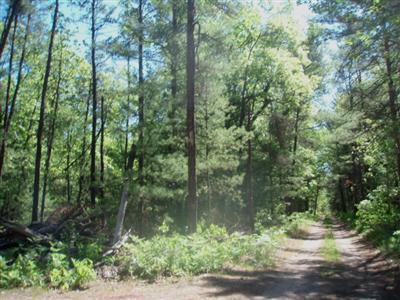 7126 Koon Road Manistee, MI 49660 - Photo 4 of 7 Additional Photo