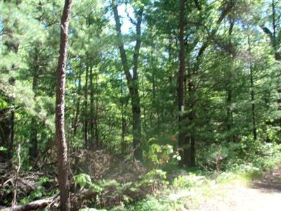7126 Koon Road Manistee, MI 49660 - Photo 5 of 7 Additional Photo