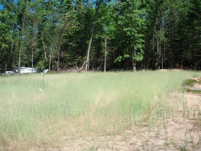 7126 Koon Road Manistee, MI 49660 - Photo 6 of 7 Additional Photo