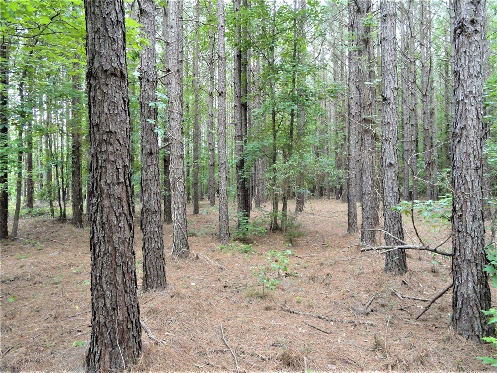 430 Oliver Scotts Mill Road Honea Path, SC 29654 - Photo 3 of 13 Gallery Image 3