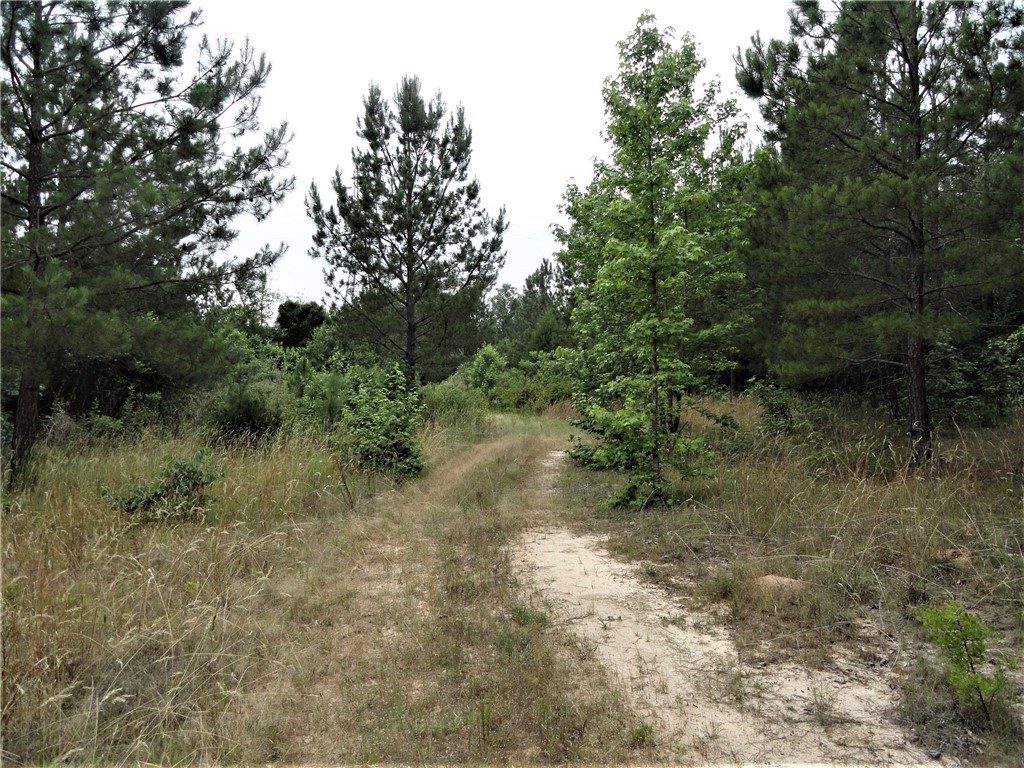 430 Oliver Scotts Mill Road Honea Path, SC 29654 - Photo 8 of 13 Gallery Image 8