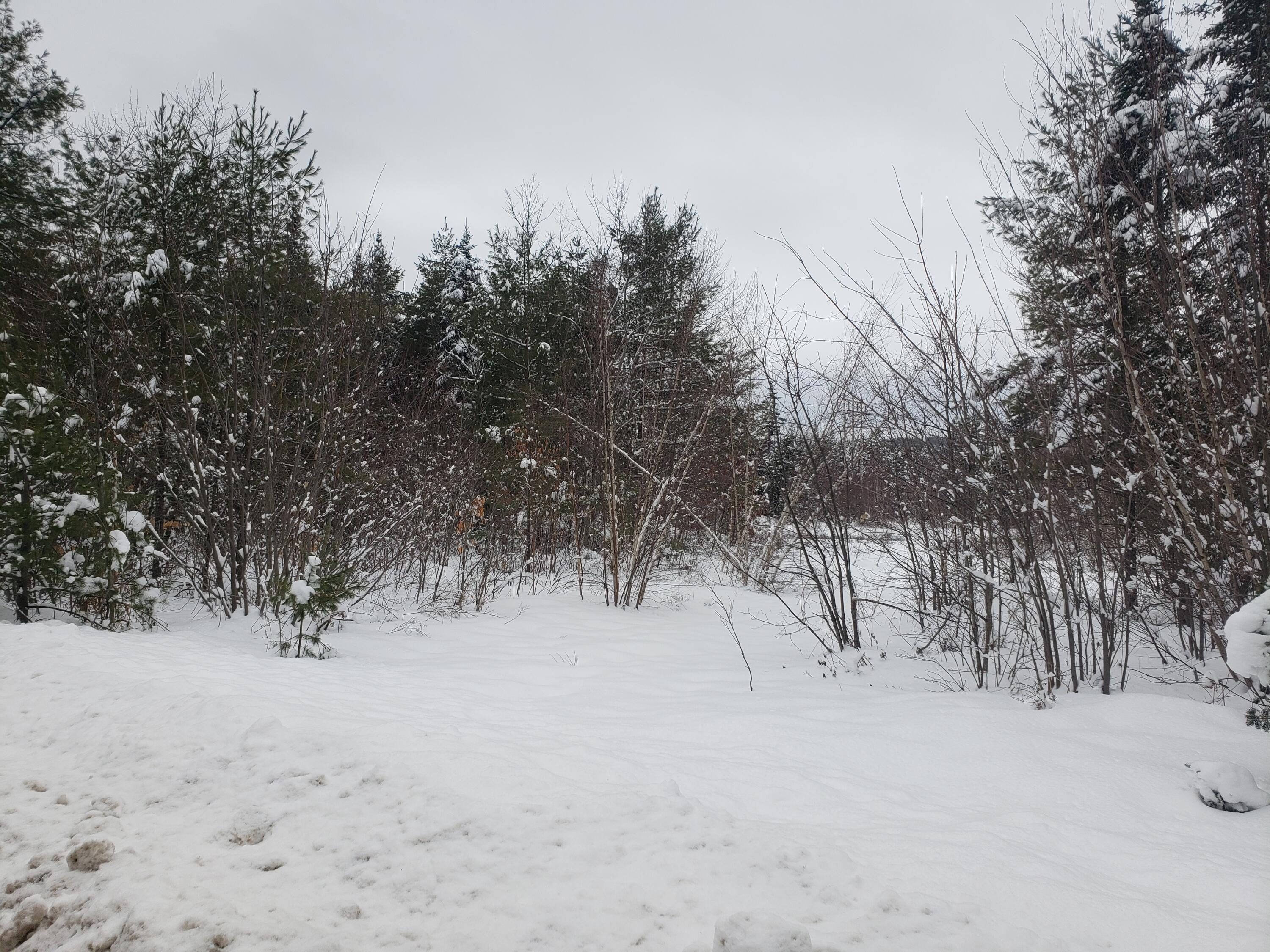 1010 Knights Hill Road Harrison, ME 04040 - Photo 1 of 3 20230122_144711
