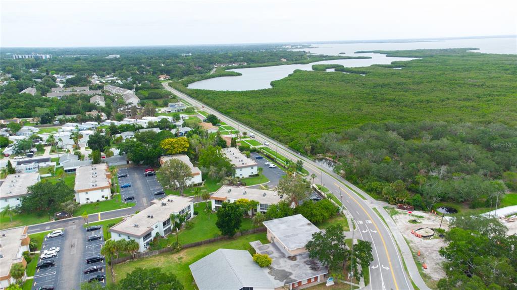 389 South McMullen Booth Road, Unit 12 Clearwater, FL 33759 - Photo 4 of 25 an aerial view of residential houses with outdoor space