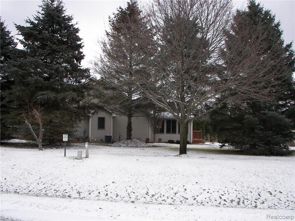 6788 Kestrel Ridge Road Brighton, MI 48116 - Photo 15 of 18 100_5958.JPG