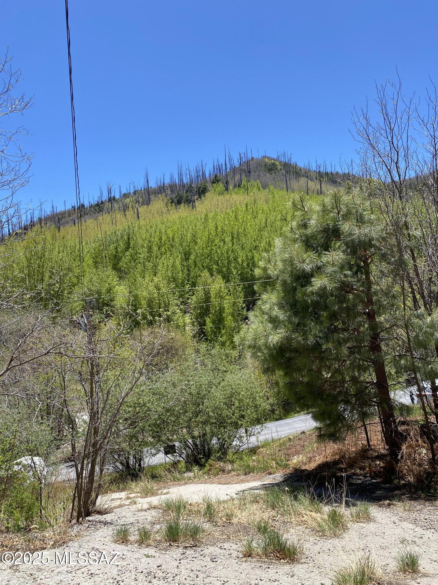 10991 East Carter Canyon Road, Unit 18 Mount Lemmon, AZ 85619 - Photo 8 of 8