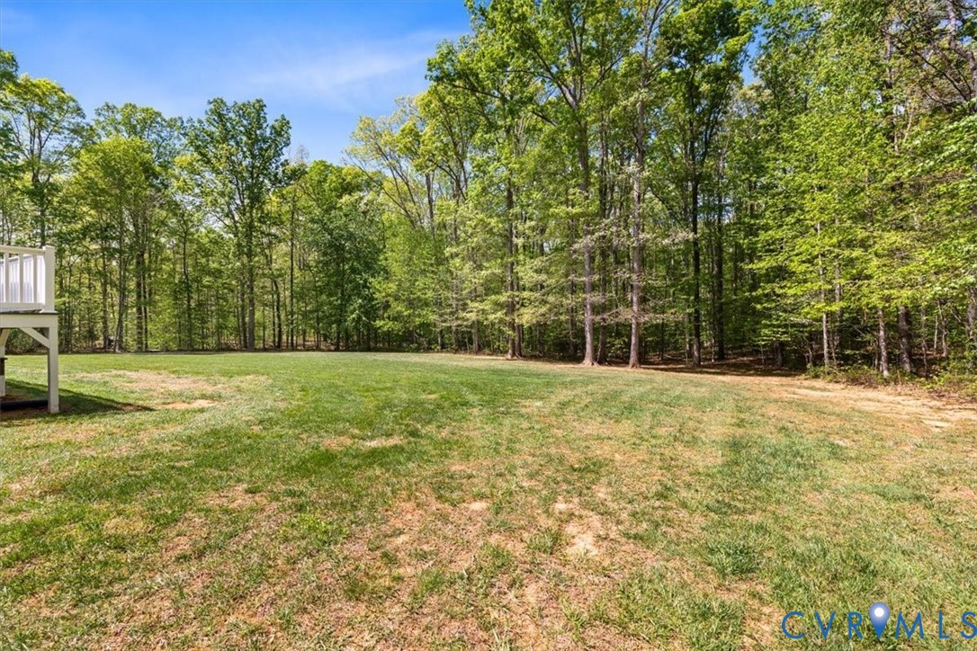 3060 Moyer Road Powhatan, VA 23139 - Photo 51 of 53